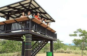 Screen Shot 2015-03-23 at 17.12.08