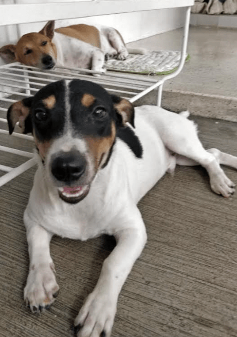 Available condominium units in Makati, Quezon City, Metro Manila, Bicutan, and Alabang.